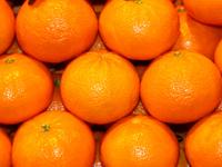 03-citricos
