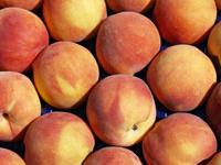 04-frutohueso